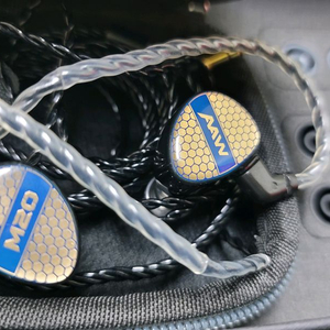 AAW M20 유선 이어폰