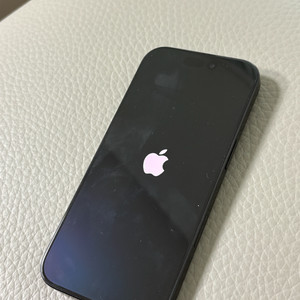 아이폰 16 프로 256GB ( 하자, 본문 필독 )