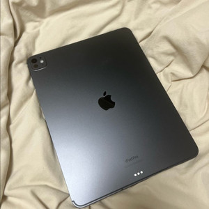 아이패드프로 M4 13