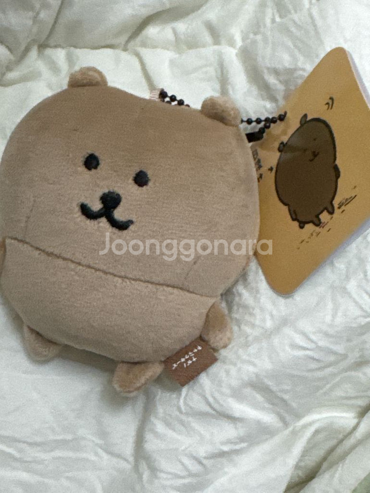 탄농담곰 태닝농담곰 나가노 농담곰--0