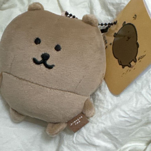 탄농담곰 태닝농담곰 나가노 농담곰