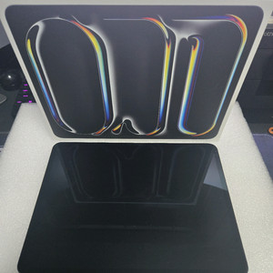 iPad Pro7세대 13 샐룰러 1TB