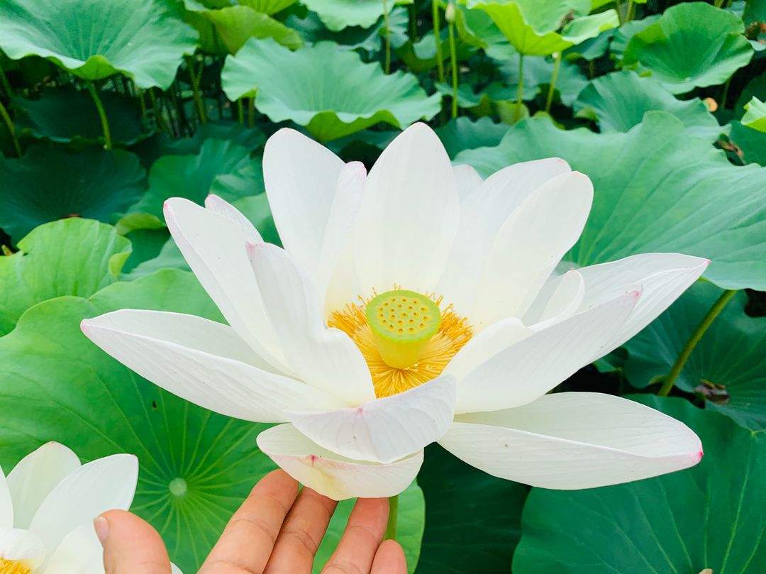 프로필 이미지