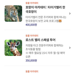 에버랜드 스페셜투어 사진 참고