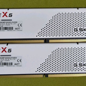G.Skill ddr5 flare 64gb(32x2)