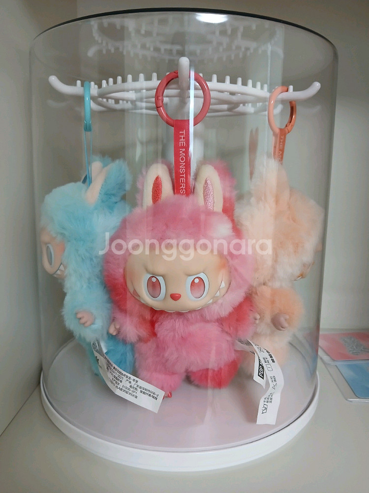 라부부 보관 케이스 컨테이너--0