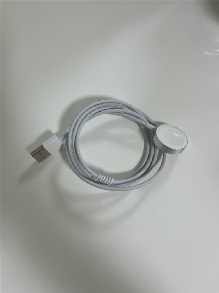 애플워치 시리즈 4 스테인리스 스틸 44mm 및 액세서 이미지