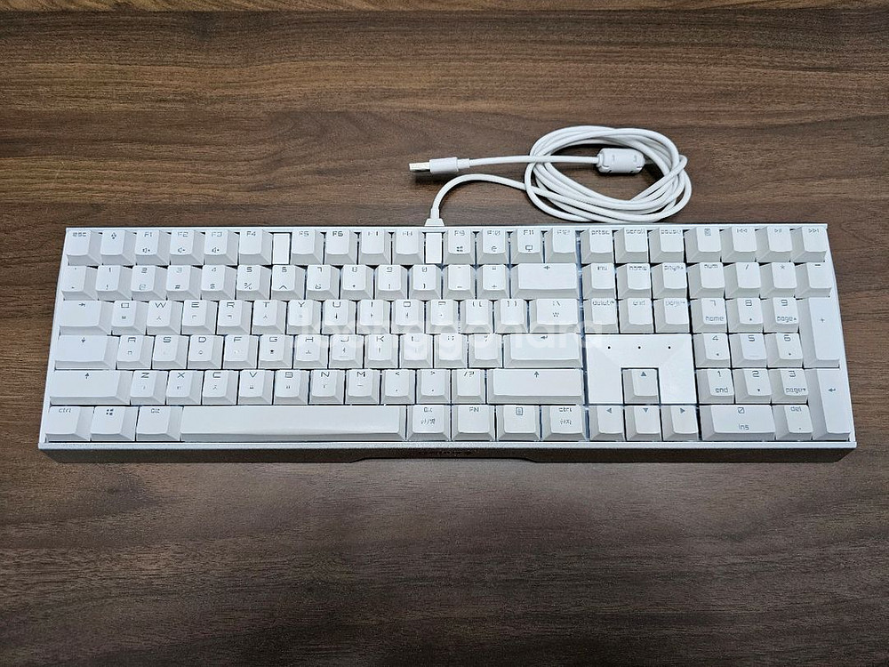 [팝니다] 고장난 체리키보드 CHERRY MX BOAR--0