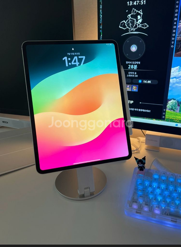아이패드 프로13 M4 Wifi 256G 싸게팔아요!!--0