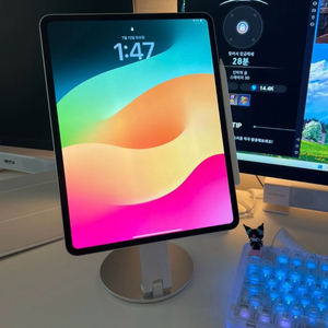 아이패드 프로13 M4 Wifi 256G 싸게팔아요!!