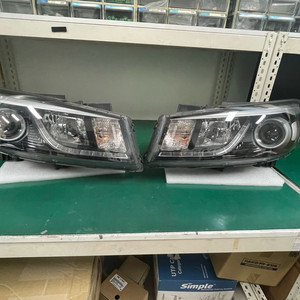 올뉴카니발17년식 HID 전조등세트