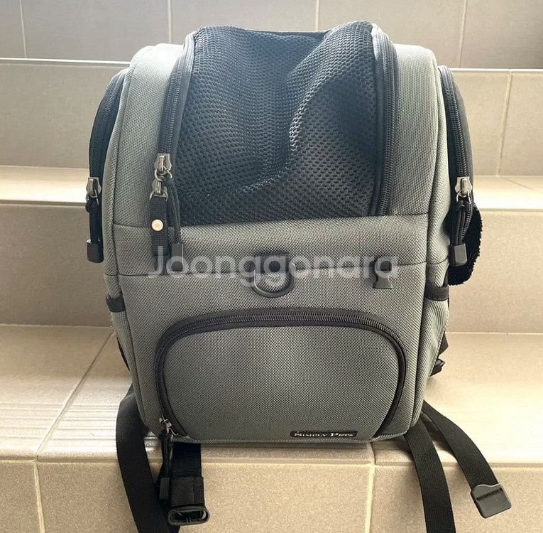 애견이동가방, 기내탑승 가능 강아지 가방--4