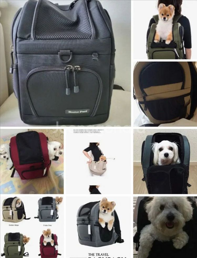 애견이동가방, 기내탑승 가능 강아지 가방--2