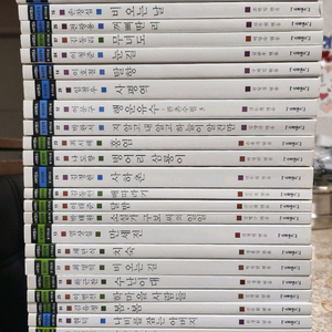 사피엔스 한국문학 28권