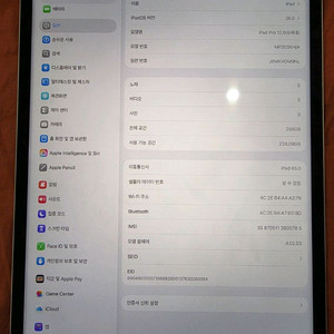아이패드 12.9 프로 6세대 셀룰러 256gb