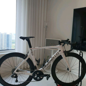 [4차 가격인하 밎 용품추가증정]피나렐로 도그마 F10