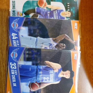 SCC대원 KBL 한국가스페가수스 플레이어 포토카드일괄
