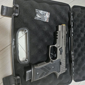 파라블럼 p320axg legion 키트(그레이)