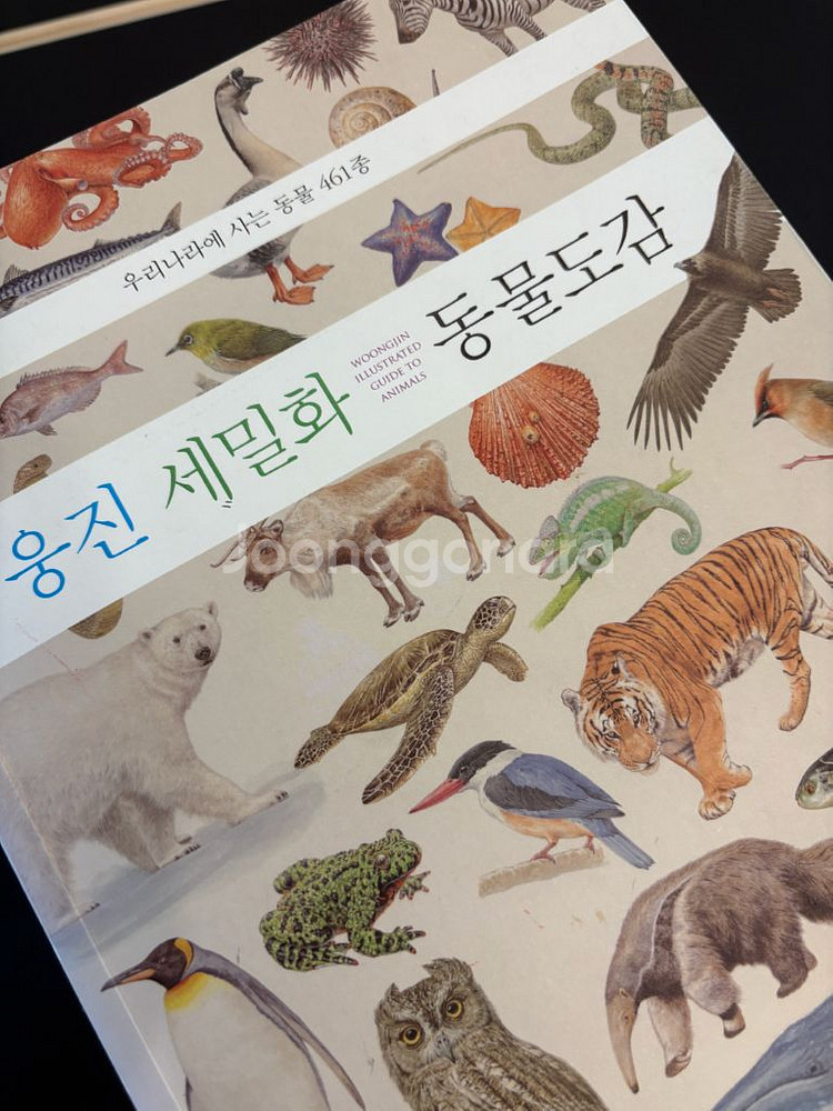 세밀화로 그린 자연관찰 책 동물도감--5