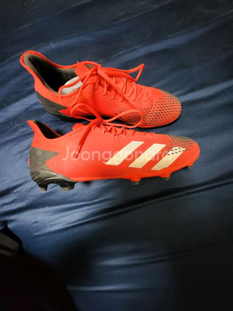 아디다스 축구화--1