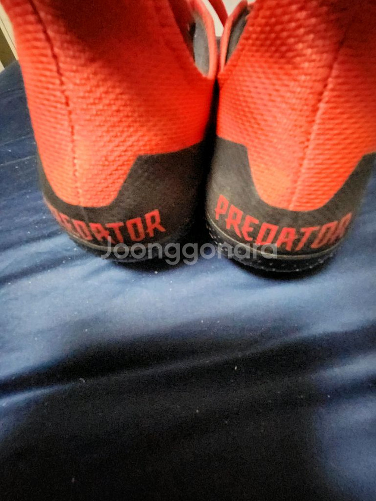 아디다스 축구화--2