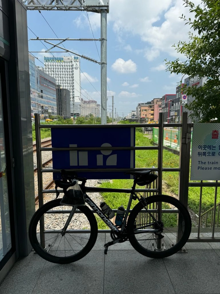 캐논데일 슈퍼식스 에보 2019 판매 이미지