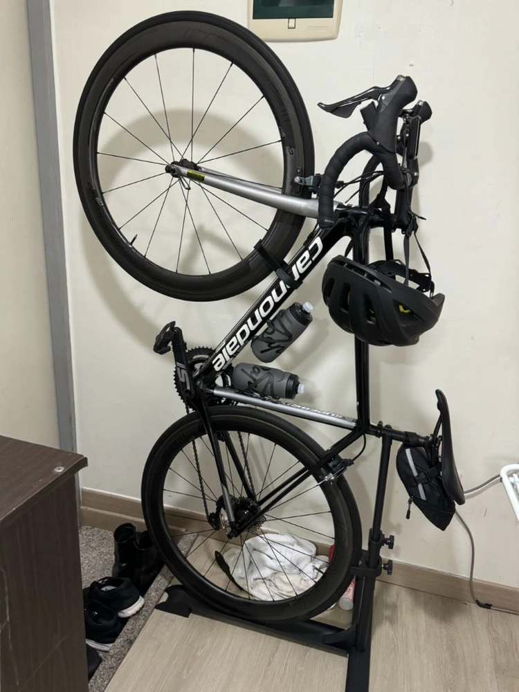 캐논데일 슈퍼식스 에보 2019 판매 이미지