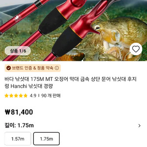 알리베타쭈갑대175m