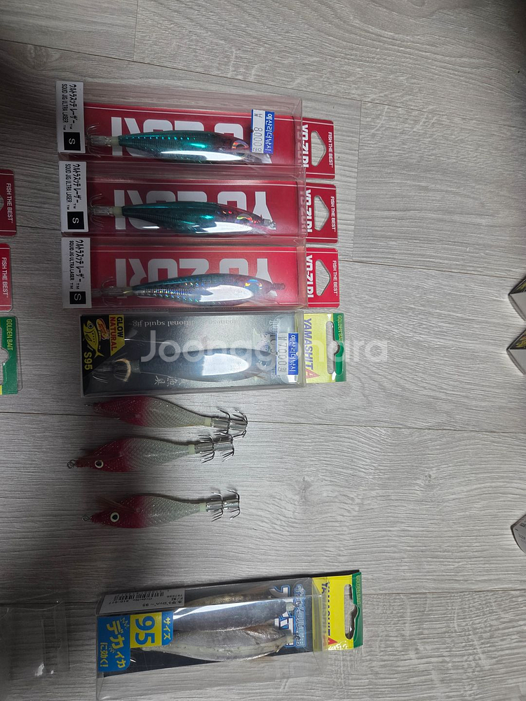 갑오징어에기--0