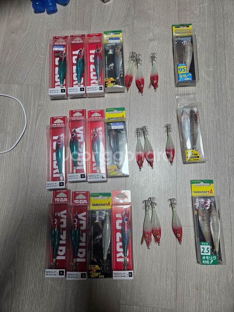 갑오징어에기--1