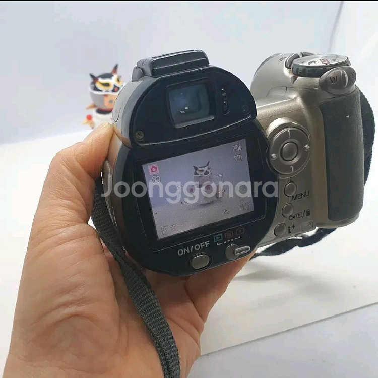 레트로디카 코니카미놀타 디미지 Z6--2
