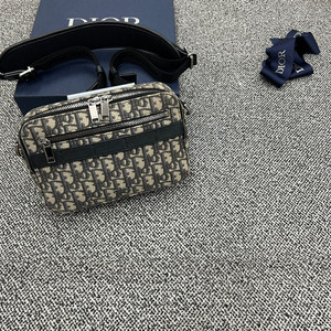 디올 오블리크 사파리 메신저백