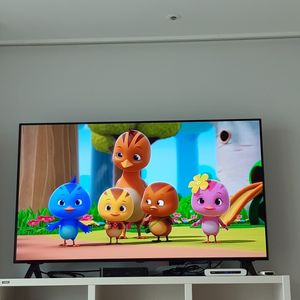 LG 올레드 48인치 OLED TV