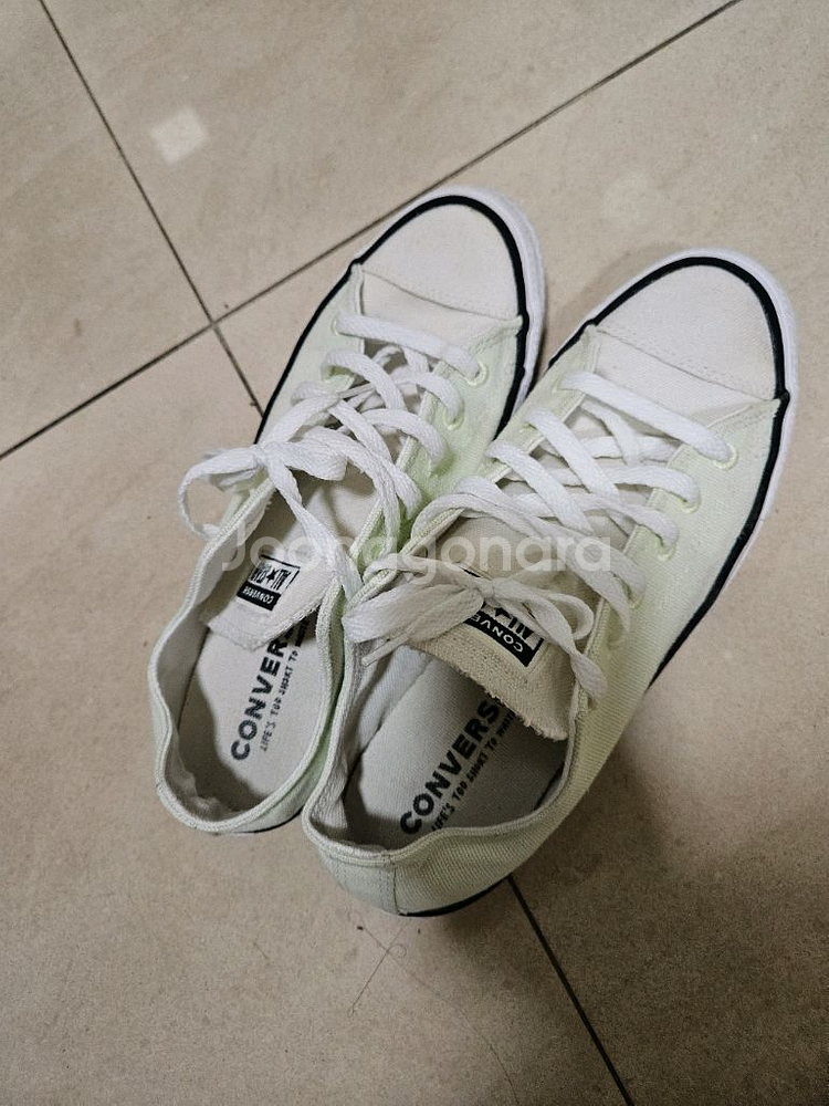 컨버스 2종류--1