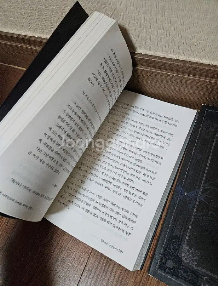 로맨스소설 여주인공의 오빠를 지키는방법 4권 (소장용)--1