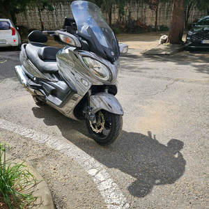 버그만650
