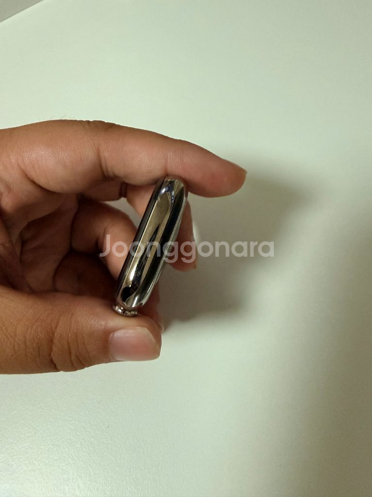 애플워치 10 네츄럴티타늄 46mm--8