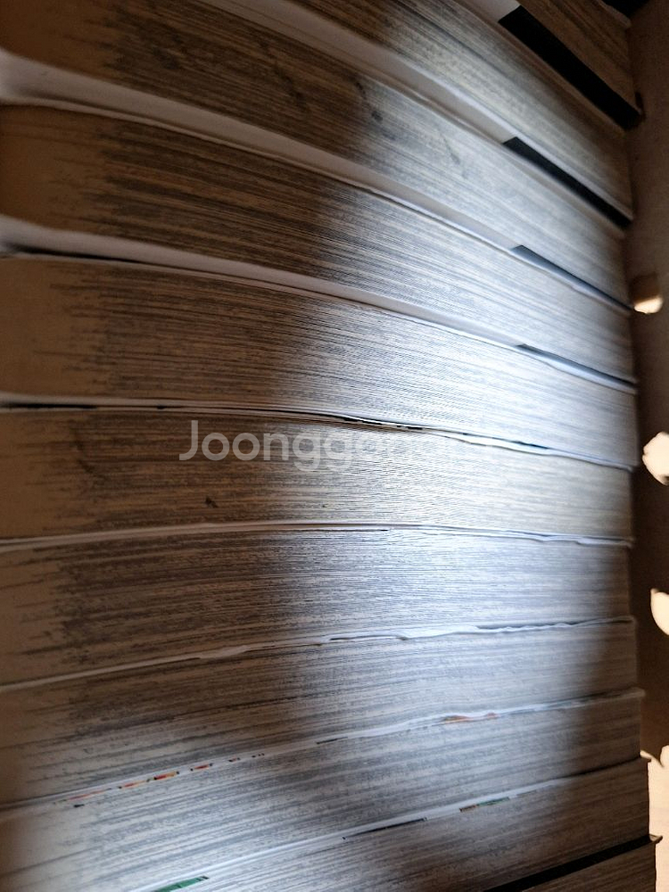 누라리 횬의 손자 13권--1