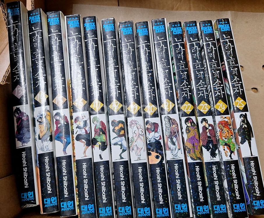 누라리 횬의 손자 13권--0