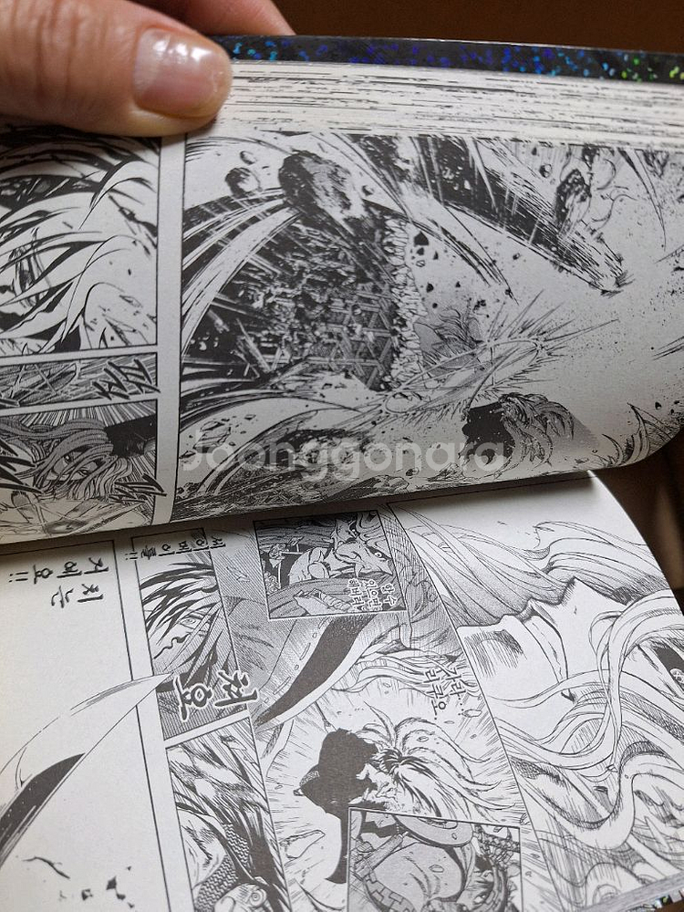 누라리 횬의 손자 13권--2