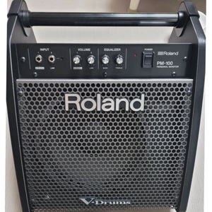 Roland PM-100 드럼앰프