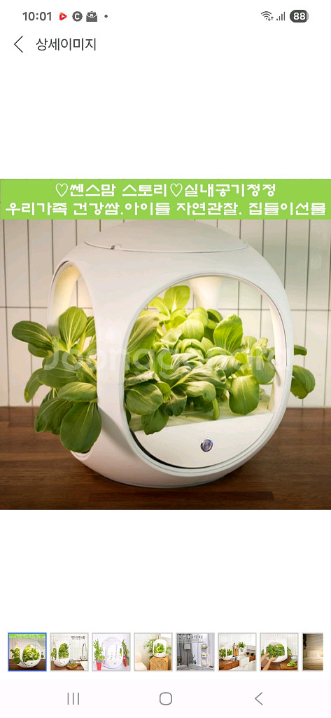 닥터플랜틱스 식물재배기--0