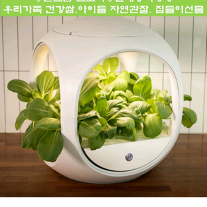 닥터플랜틱스 식물재배기