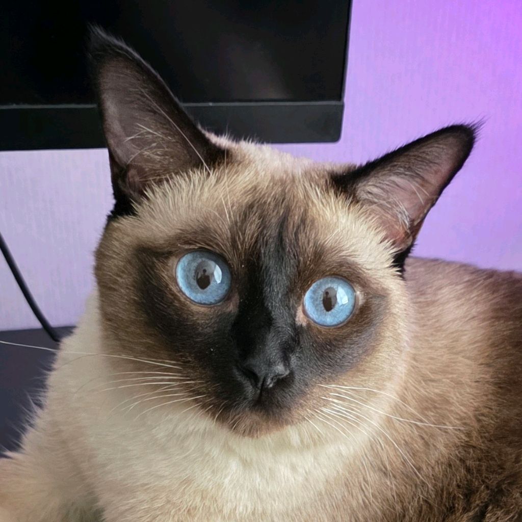 profile-image