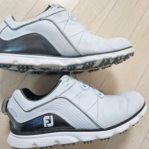 풋조이 스파이크리스 남성 골프화 pro sl 245xw