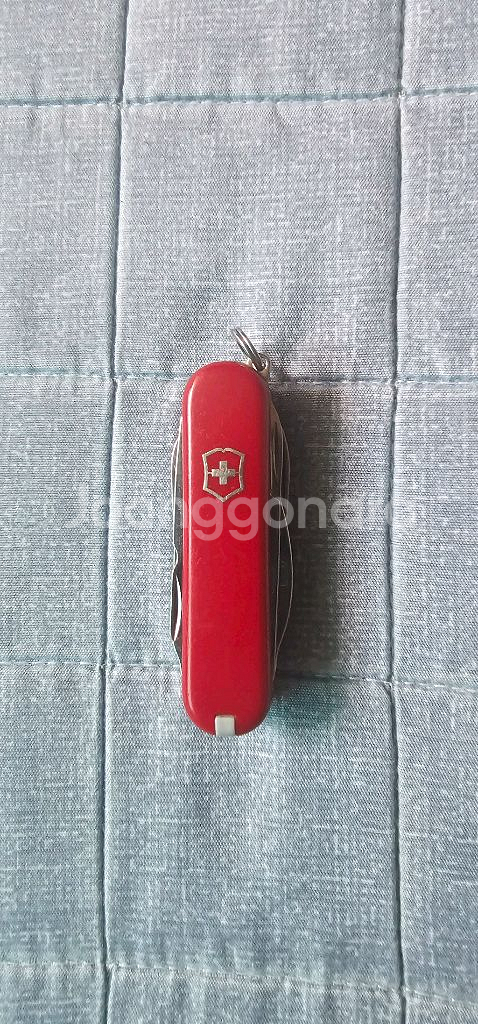 빅토리녹스 스위스챔프 1.6795 일괄 판매합니다--2