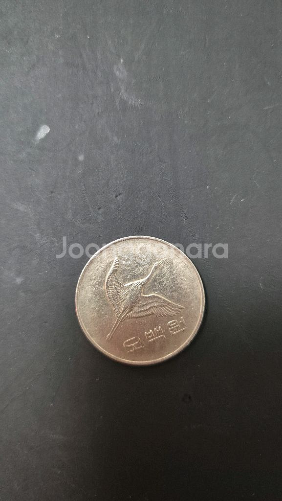 500원 희귀동전--0