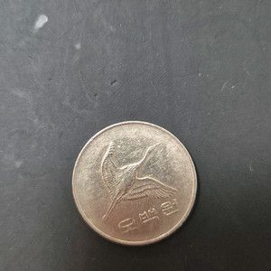 500원 희귀동전