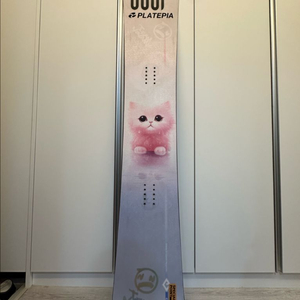 2425아벨 카본 162