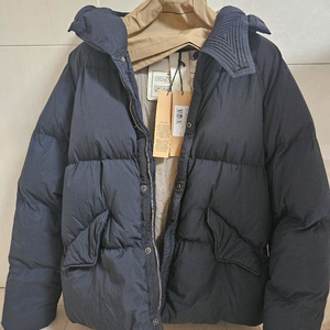 텐씨 아틱